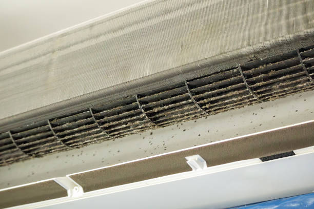 Best Affordable Air Duct Cleaning  in Millis Clicquot, MA